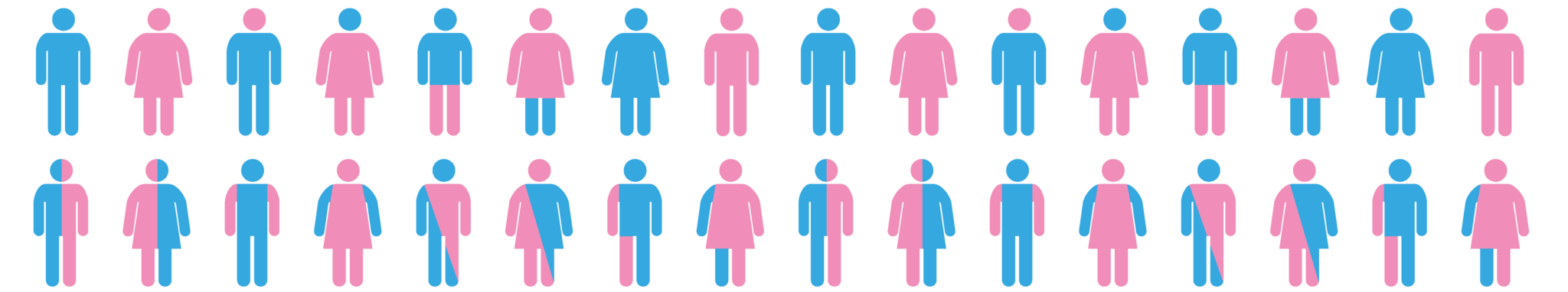 Image montrant des pictogrammes d'hommes et de femmes avec des découapges de rose et de bleus aléatoires pour exprimer la diversité